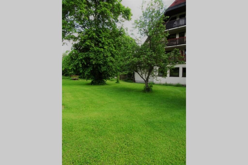 Modernes Apartment Mit Traumhaftem Blick Ins Gruene Bräunlingen Zewnętrze zdjęcie